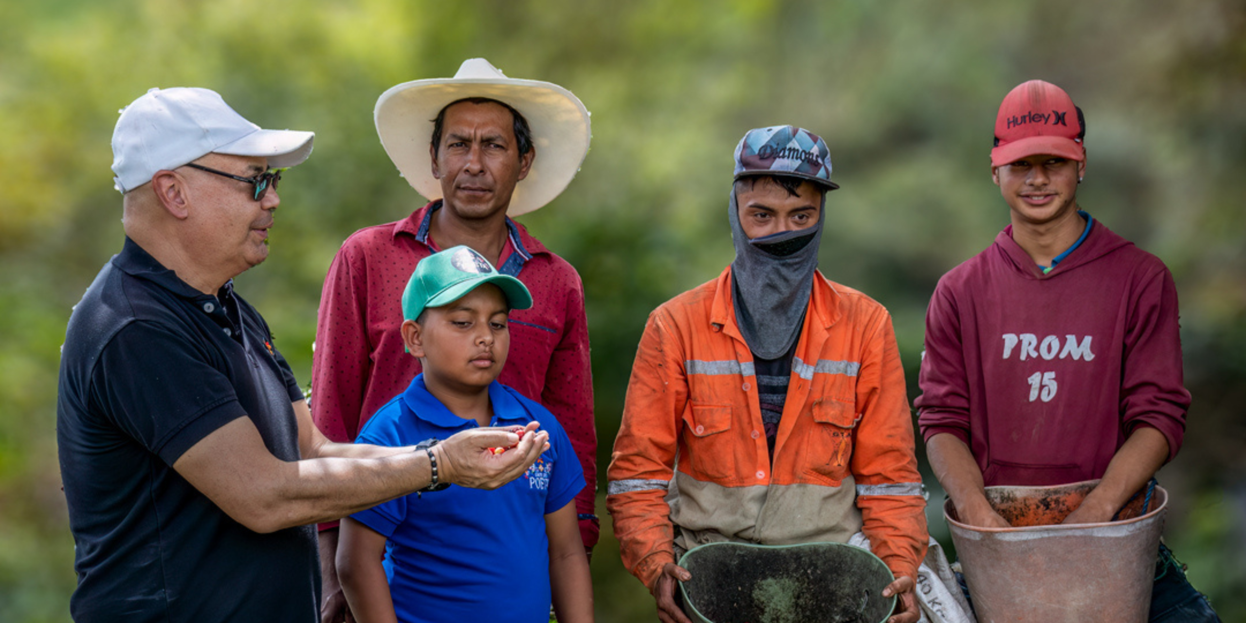 cafeteros colombianos